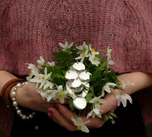 Load image into Gallery viewer, Oslo-Paris Poncho